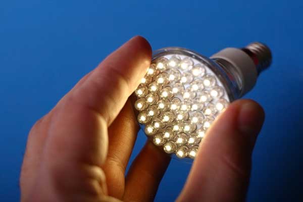 LED Bulbs